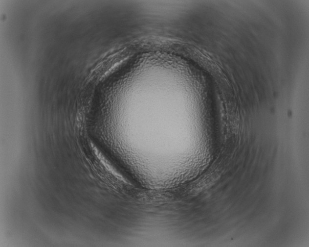 X0000086101397200704091340