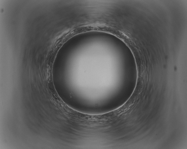 X0000086101398200704091340