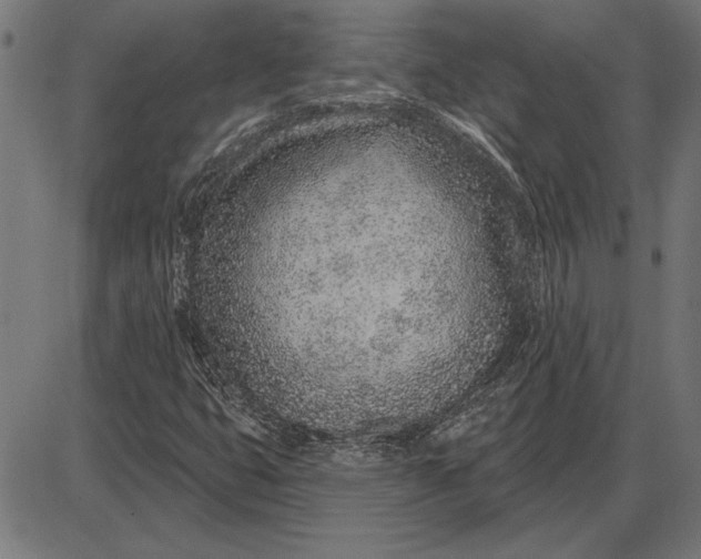 X0000086101399200704091340