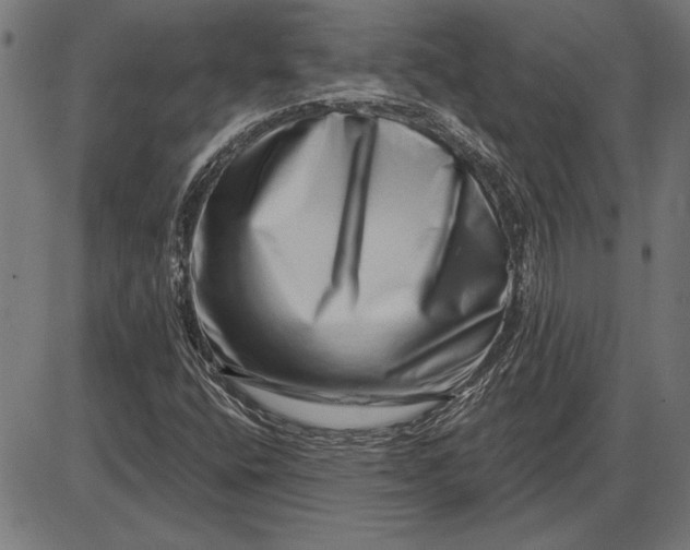 X0000086101400200704091340