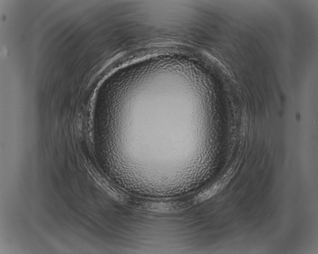 X0000086101401200704091340
