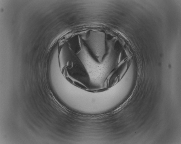 X0000086101402200704091340