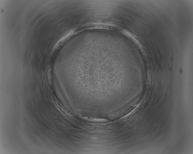 X0000086101403200704091340