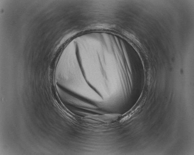 X0000086101404200704091340