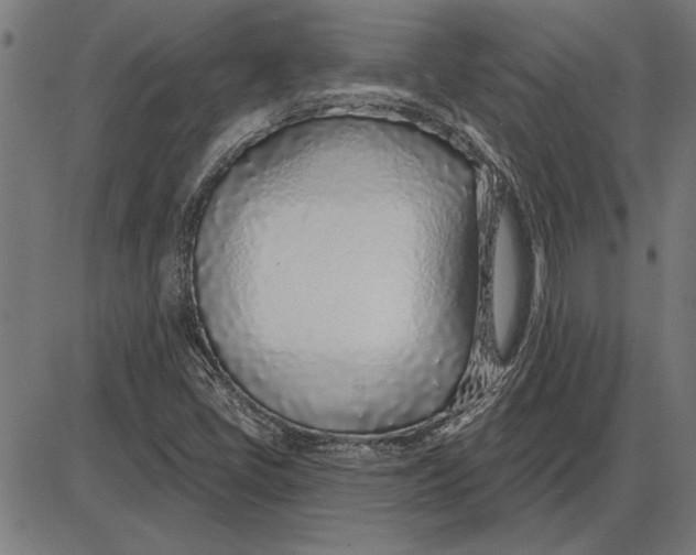 X0000086101405200704091340