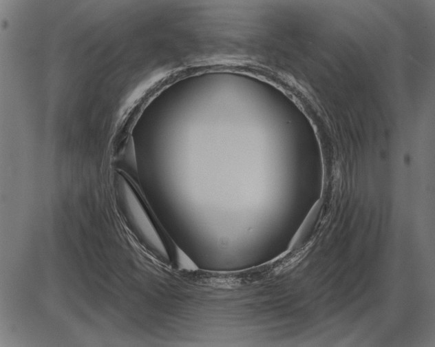 X0000086101406200704091340