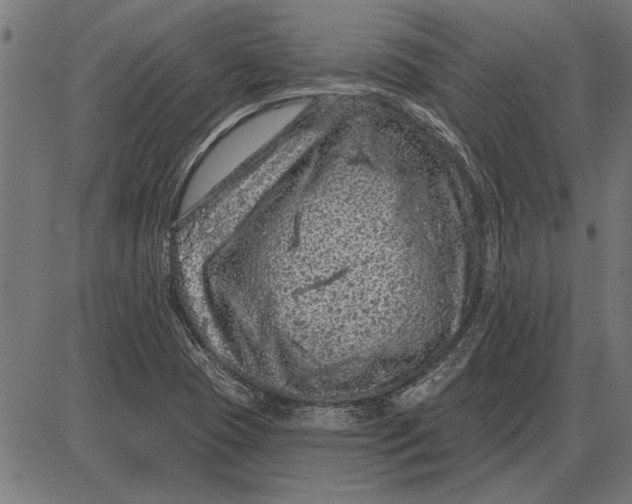 X0000086101409200704091340