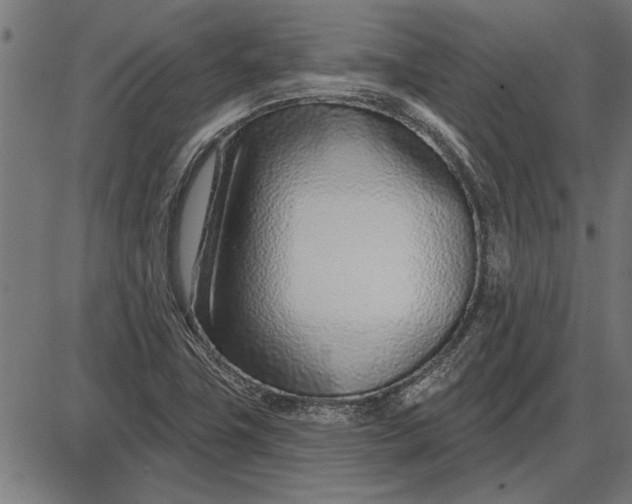 X0000086101411200704091340
