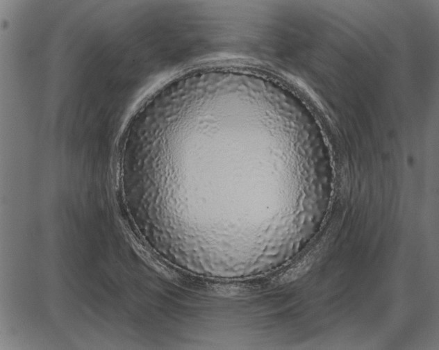 X0000086101413200704091340