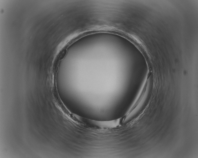 X0000086101414200704091340