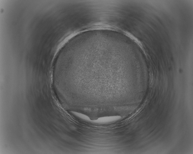 X0000086101415200704091340