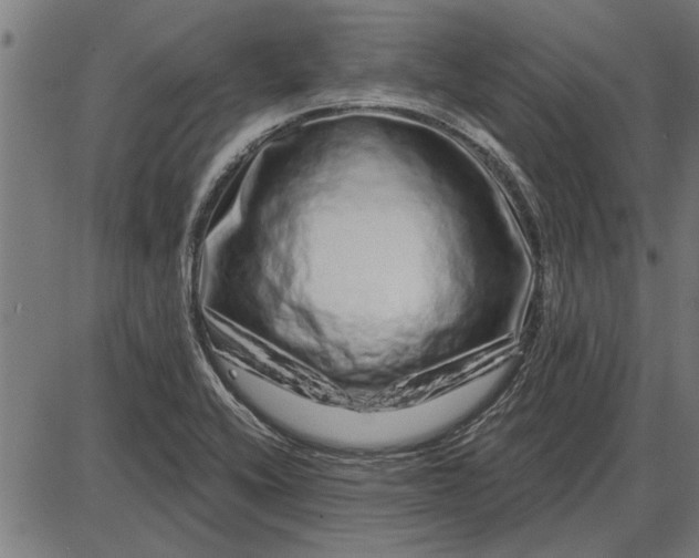 X0000086101416200704091340