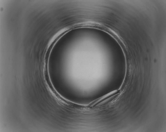 X0000086101418200704091341