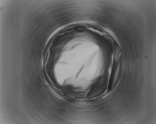 X0000086101420200704091341