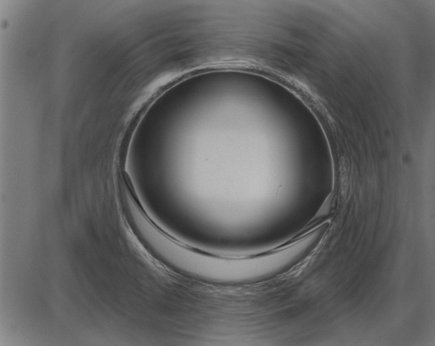 X0000086101422200704091341