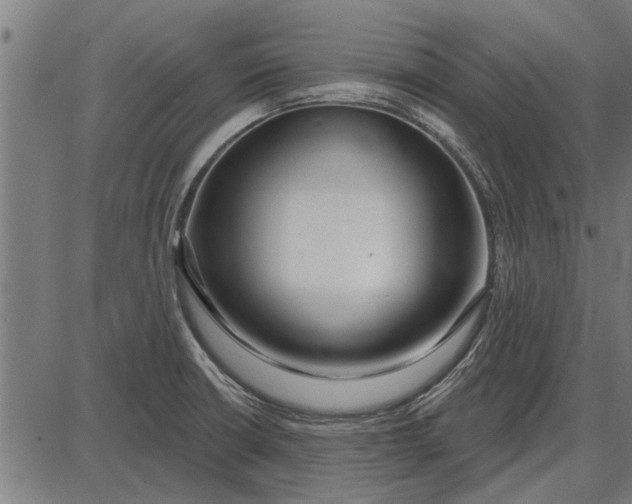 X0000086101426200704091341