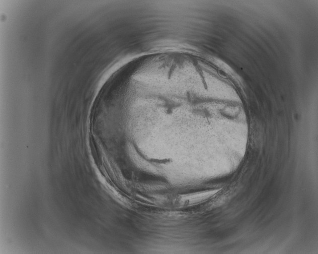 X0000086101431200704091341