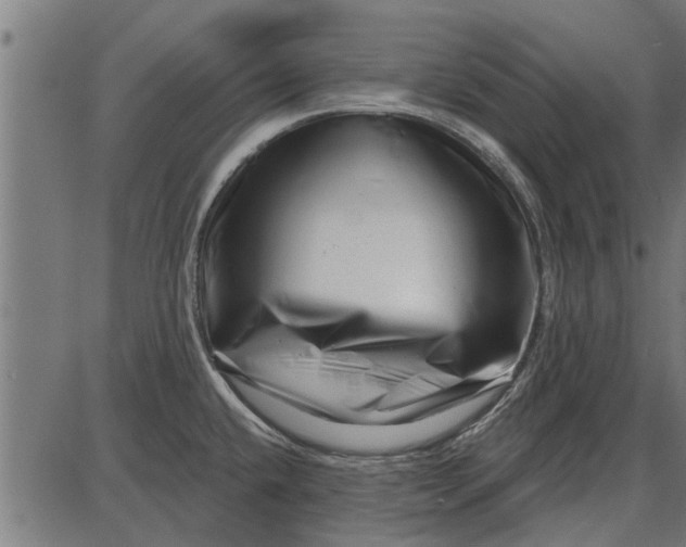 X0000086101432200704091341