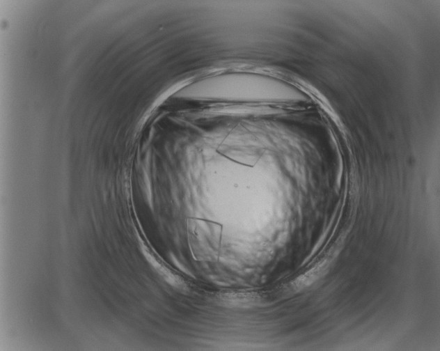 X0000086101433200704091341