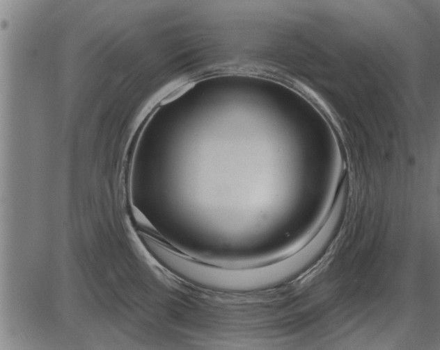 X0000086101434200704091341
