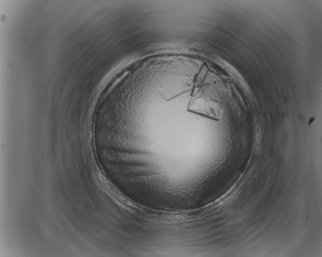 X0000086101435200704091341