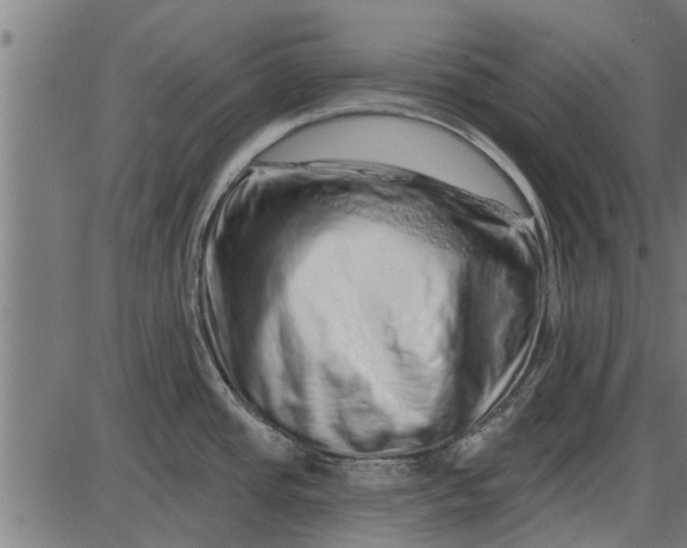 X0000086101437200704091341