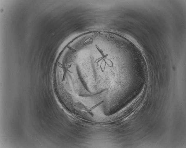 X0000086101440200704091341