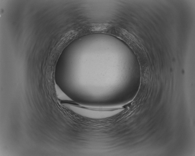 X0000086101441200704091340