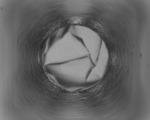 X0000086101442200704091340