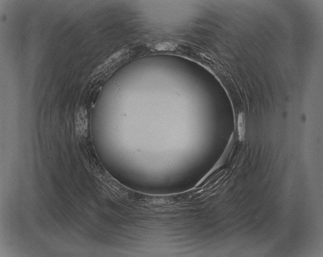 X0000086101443200704091340
