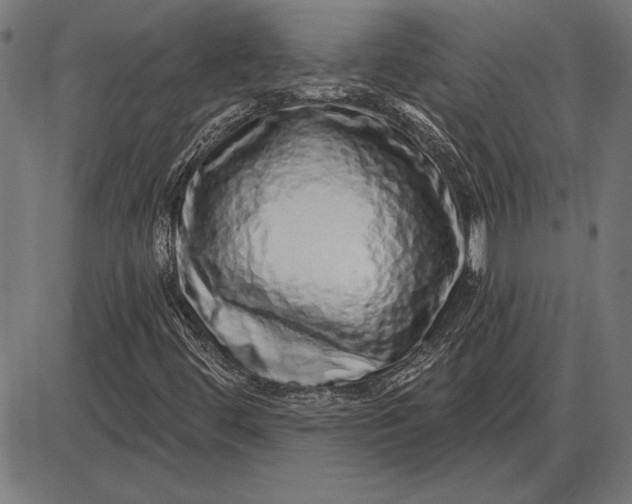 X0000086101444200704091340
