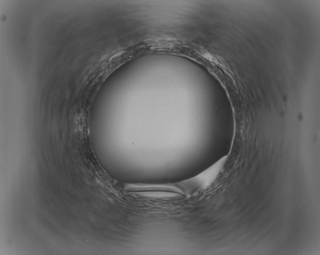 X0000086101445200704091340