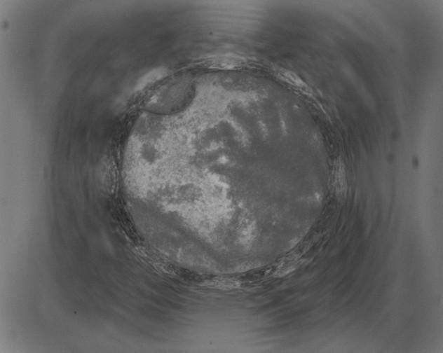 X0000086101446200704091340