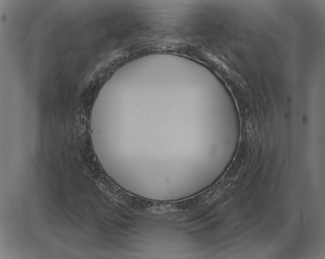 X0000086101447200704091340