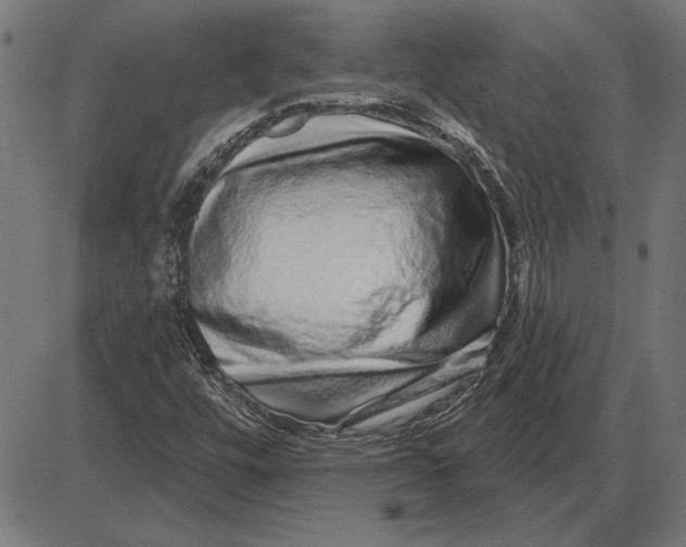 X0000086101448200704091340
