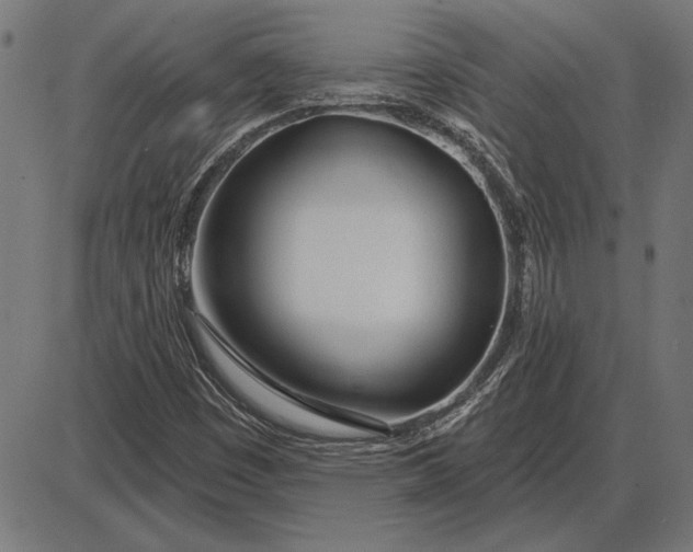 X0000086101449200704091340