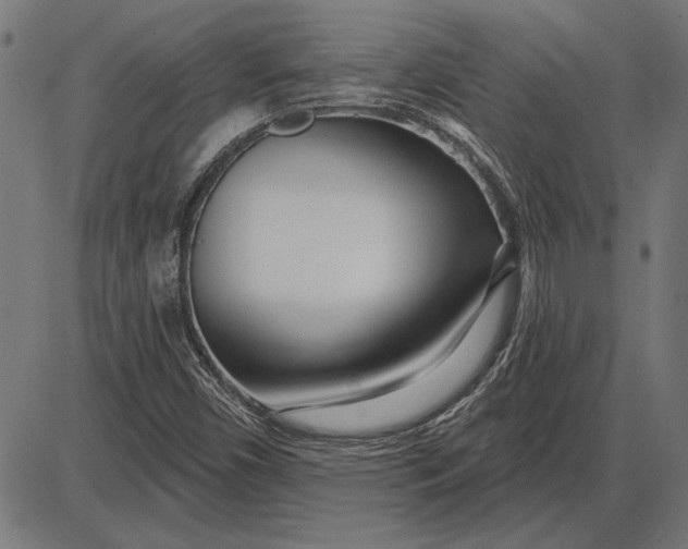 X0000086101450200704091340