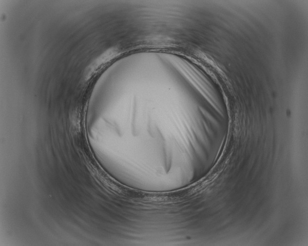 X0000086101451200704091340