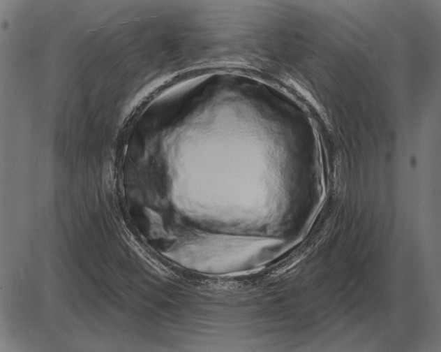 X0000086101452200704091340