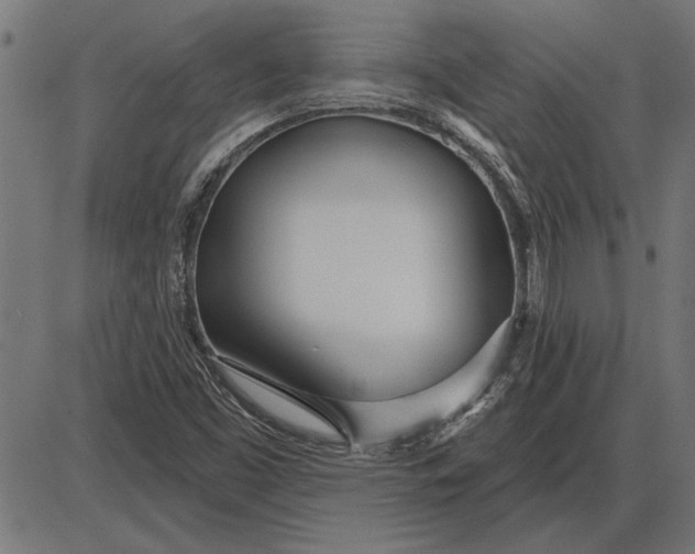 X0000086101453200704091340