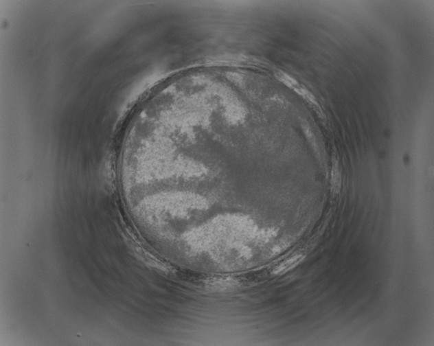 X0000086101454200704091340