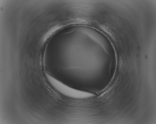 X0000086101455200704091340