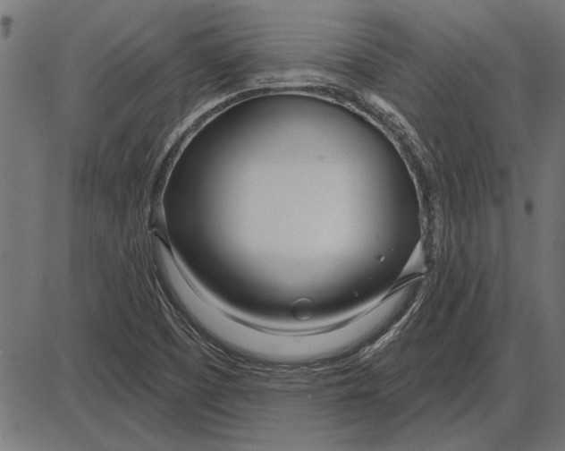 X0000086101457200704091340