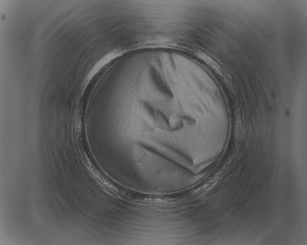 X0000086101458200704091340