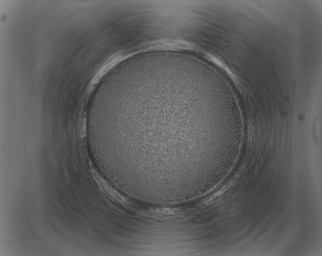 X0000086101459200704091340