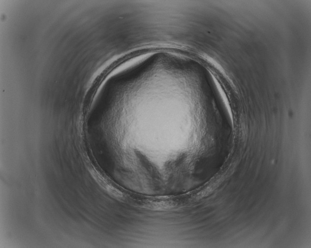 X0000086101460200704091340