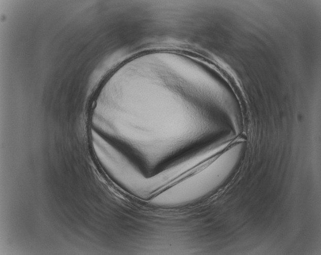 X0000086101464200704091340