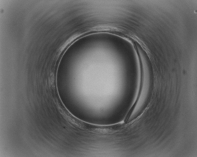 X0000086101465200704091340