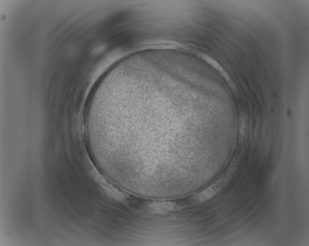 X0000086101466200704091340