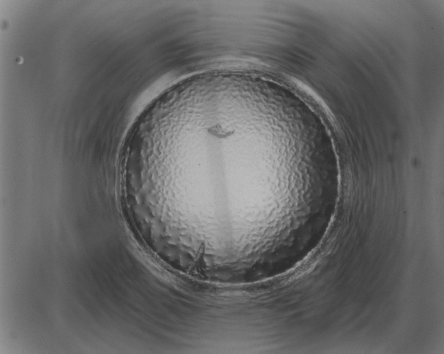 X0000086101467200704091340